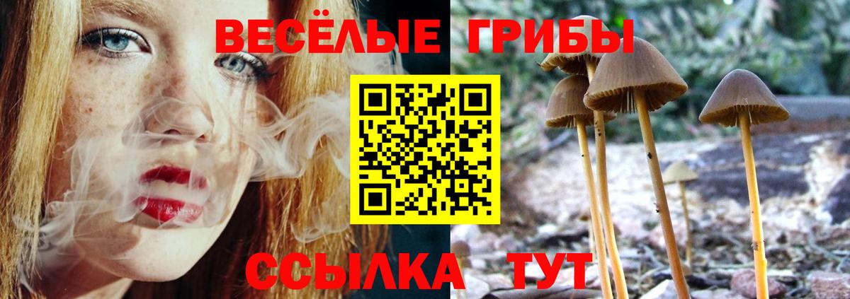 Псилоцибиновые грибы ЛСД Россия