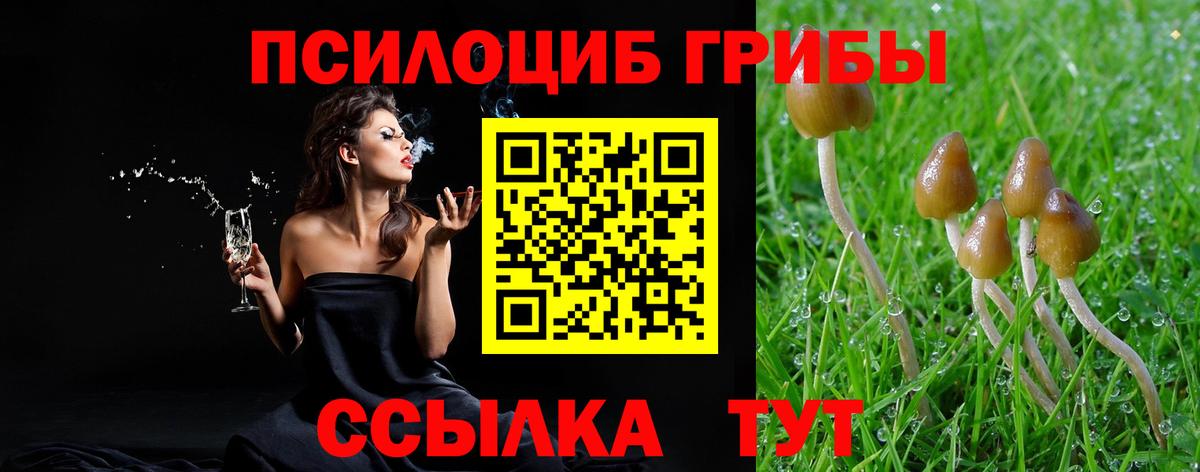 Псилоцибиновые грибы мухоморы  Псилоцибиновые грибы GOLDEN TEACHER  Вход с VPN  Россия 
