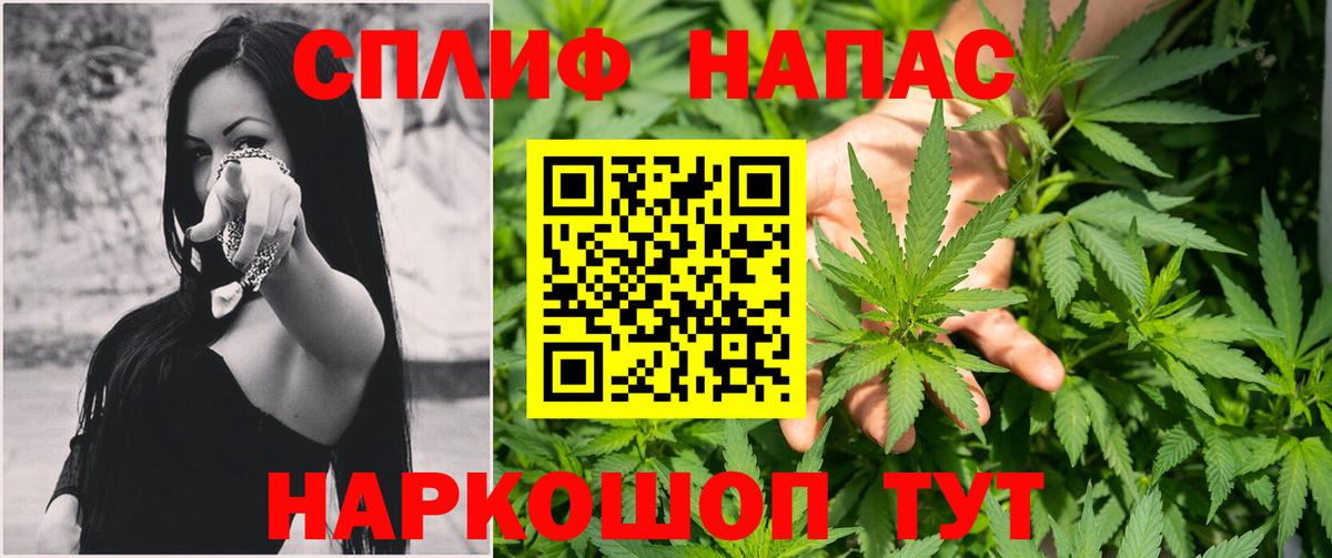 Конопля Amnesia Россия